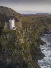 Picture, Tom McDonnell - North Coast Nature, Rathlin Island
