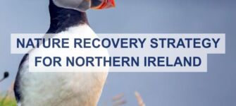 Nature Recovery Strategy image