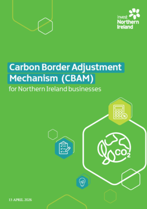 Carbon Border Adjustment Mechanism