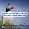 Nature Recovery Strategy image