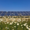 Solar Panel Arrangement (Source: Planning, Design and Access Statement, 2026).
