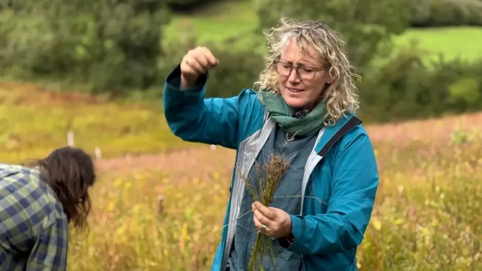 Kathy Kirwan says "nothing goes to waste" with flax