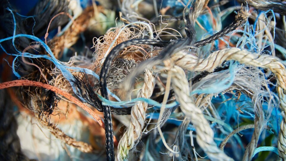 Degraded and contaminated marine litter recovered from surveyed beaches.
