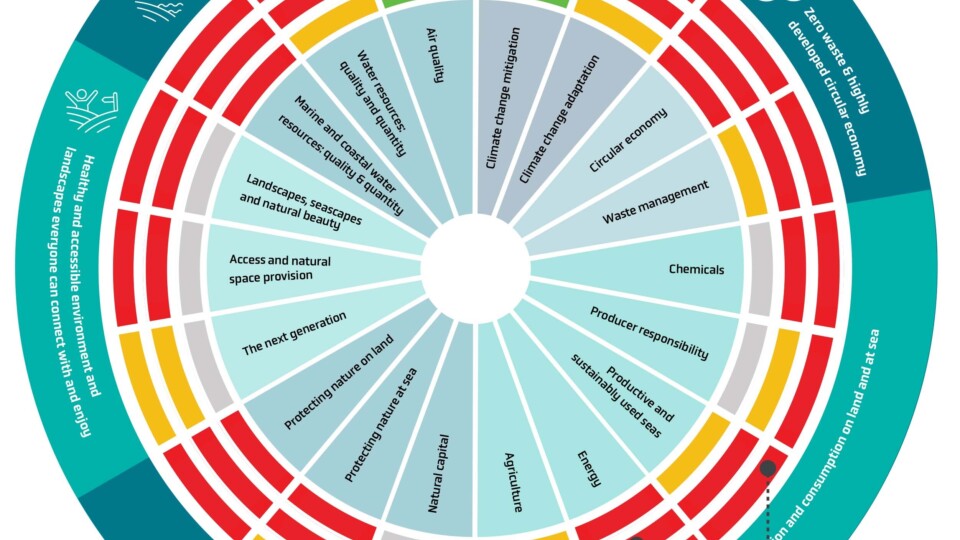 OEP EIP Report Summary Circle: Past Trends (inner ring), Recent Progress 2024/2025 (middle ring), and Future Prospects for meeting targets (outer ring)