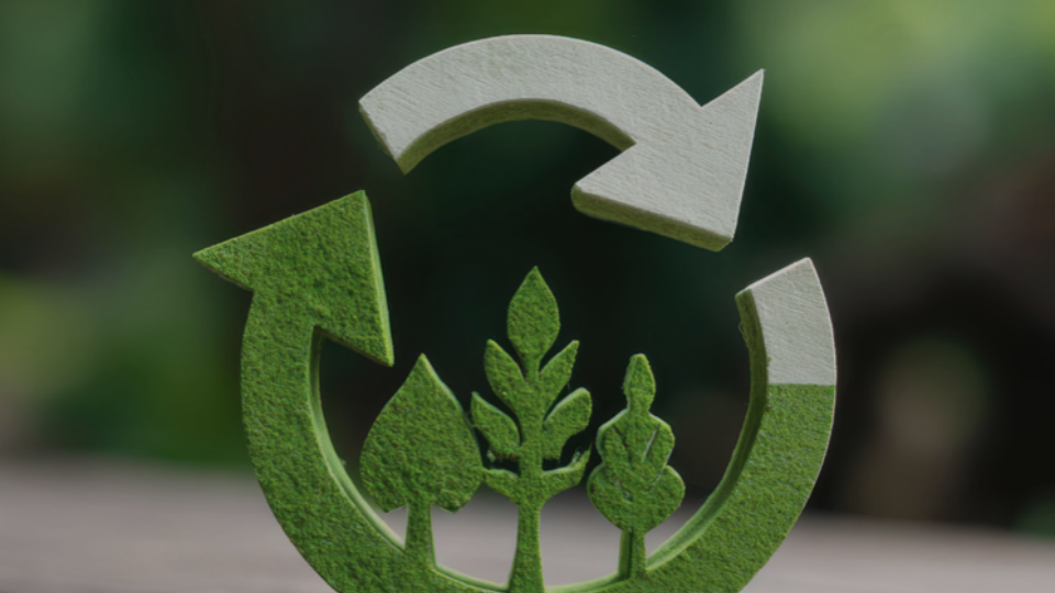 Rethinking Our Resources: Northern Ireland Resources and Waste Management Strategy