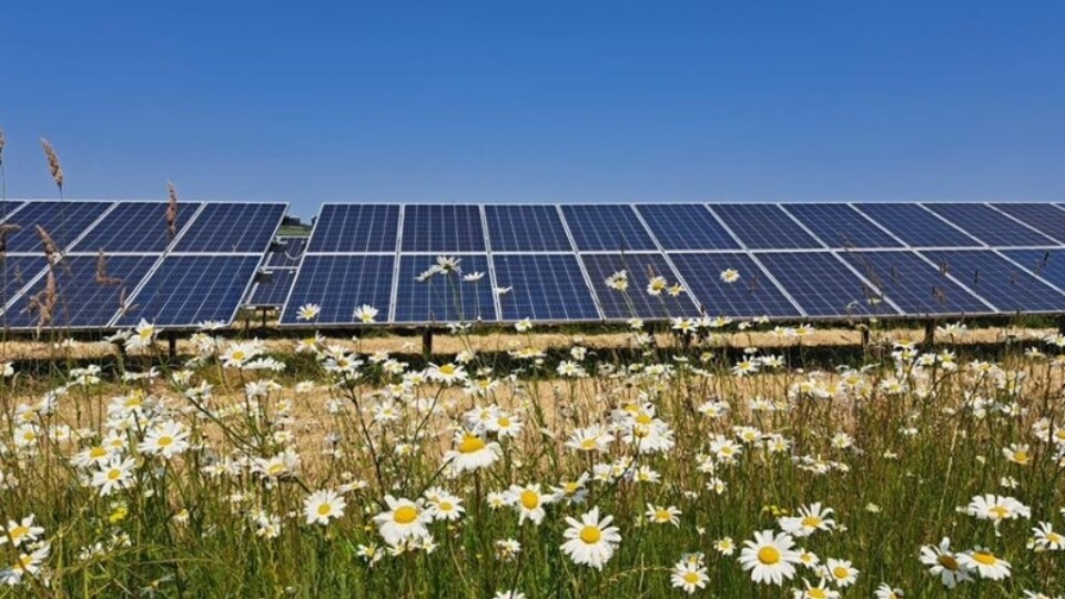 Solar panel ground array (Source: Planning, Design and Access Statement, 2026),