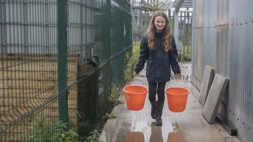 Young St James' Farm volunteer Rojin Dikmen collects rain water for use in the farm