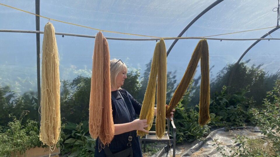 The revitalisation of Rathlin wool. Picture, Ulster University.