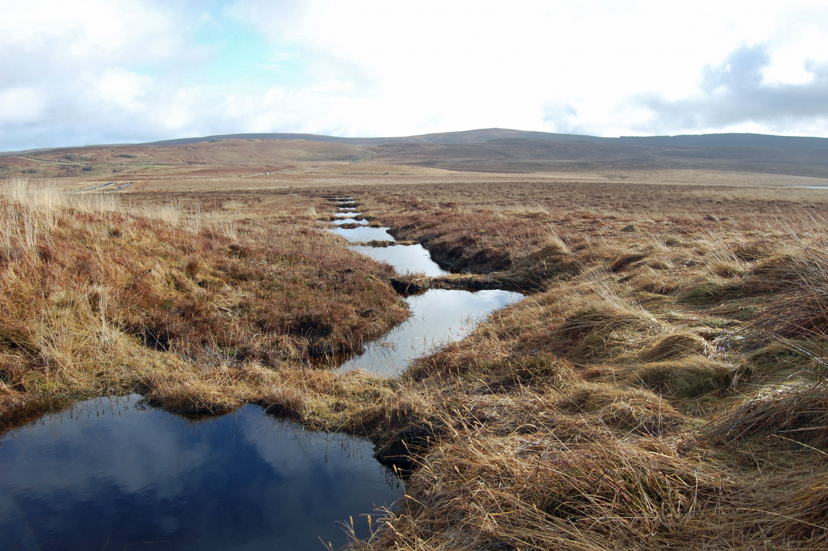 Peat dams at Dungonnell reservoir. Photo credit: Chris Thompson