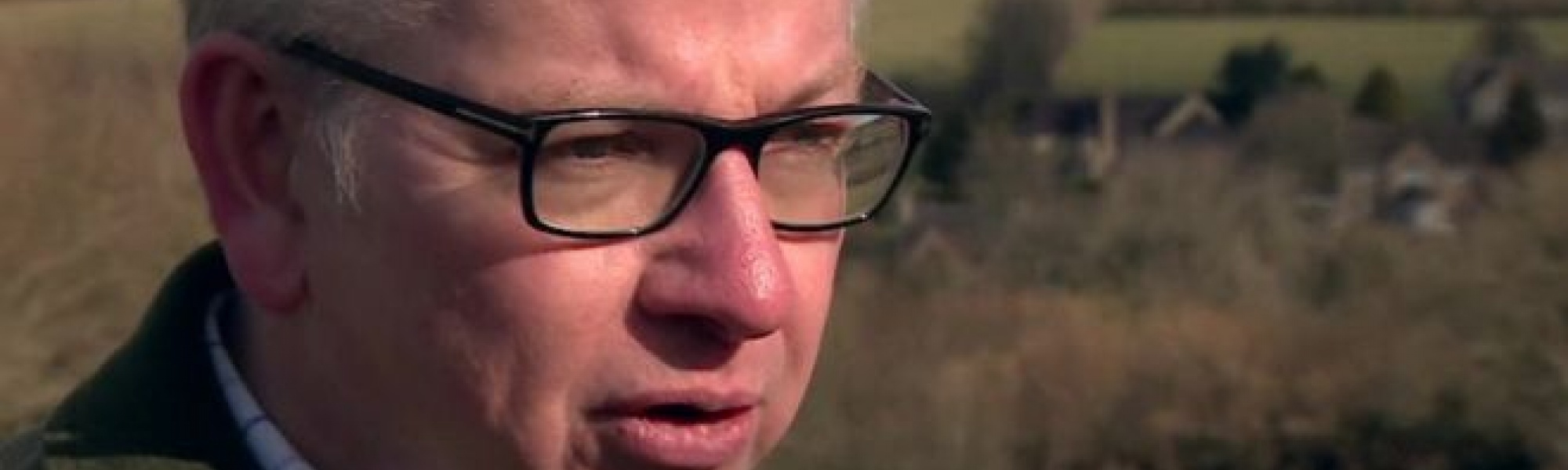 Environment Secretary Michael Gove wants to end direct payments based on the amount of land farmed